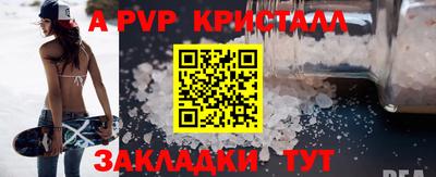 твердый Кингисепп