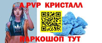 твердый Кингисепп