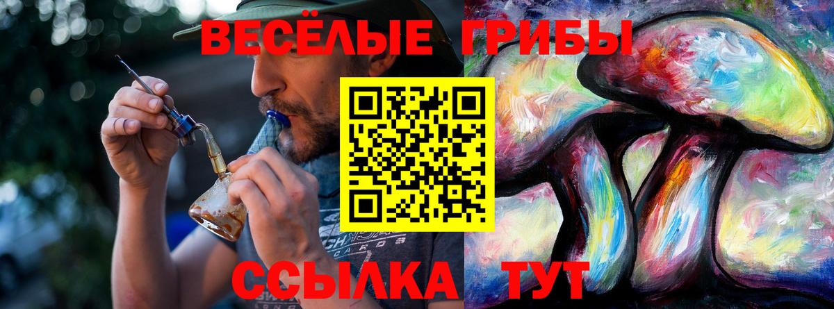 Галлюциногенные грибы прущие грибы  Вход с VPN  Кулебаки  Псилоцибиновые грибы Psilocybine cubensis 